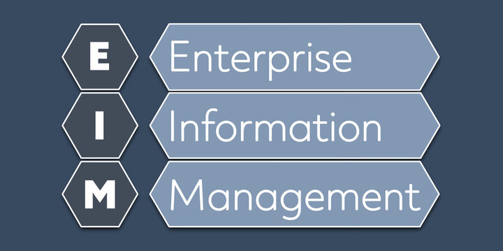 EIM Enterprise Information Management. An Acronym Abbreviation of a term from the software industry. Illustration isolated on blue background