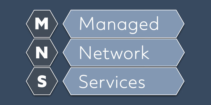 MNS Managed Network Services. An Acronym Abbreviation of a term from the software industry. Illustration isolated on blue background