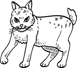 cute cartoon cat drawing.