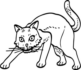 Fototapeta premium cute cartoon cat drawing.