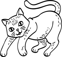 cute cartoon cat drawing.