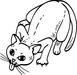cute cartoon cat drawing.
