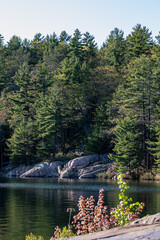 Killarney Provincial Park, Ontario, Canada. landscape with lake and trees 