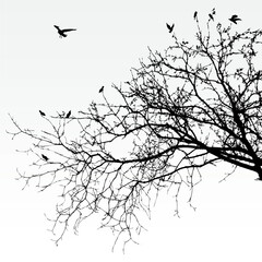 vector illustration of some branches of a tree
