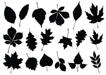 Illustration set of different leaves with autumn colors. All objects are isolated and grouped. Colors and transparent background color are easy to adjust.
