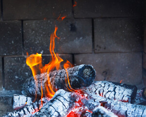 burning fire logs in fireplace
