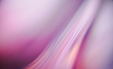 Fototapeta premium 美しいパープルのイメージ