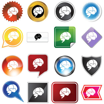 Brain variety set isolated on a white background.