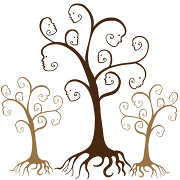 Family tree faces  isolated on a white background.