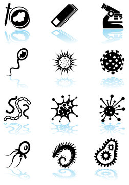 Set of 12 microscope type icons - black.