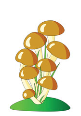 Brown mushrooms