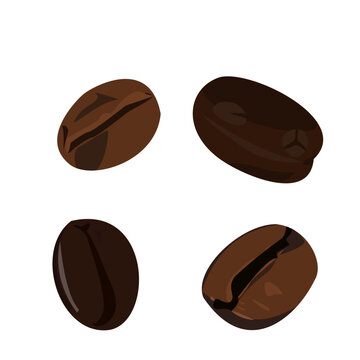 Realistic illustration coffee bean - vector