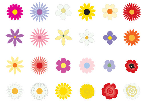 The simple vector flowers on the white background