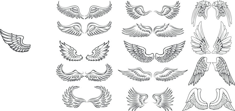 Black White Wings Icon Set. Angel wings. Feather Wings. Vector illustration