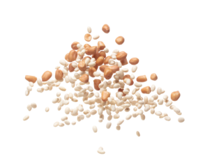 Mix white peanut beans fall down explosion, several kind bean float explode, abstract cloud fly. Dried white peanut mixed beans splash throwing in Air. White background Isolated high speed shutter