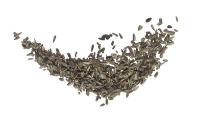 Sunflower seed grain fly in air. Sunflower seed falling scatter, explosion float in shape form line group. White background isolated freeze motion high speed shutter