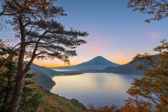 Mt. Fuji, Japan at Lake Motosu During Autumn Season