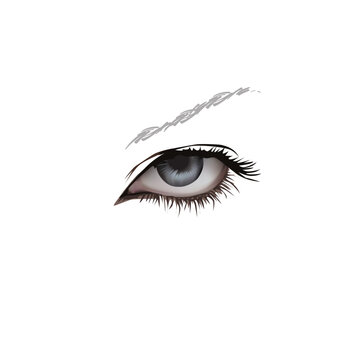 The left human eye on a white background. vector