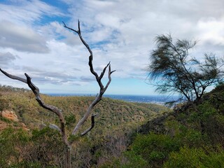 View of coast from national park
