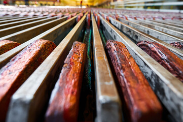 Electrolysis bathtub with installed copper anodes at plant