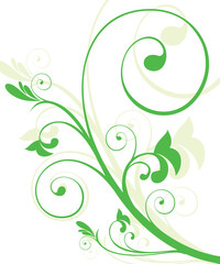 abstract floral with green paitern vector illustration