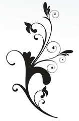 abstract floral background black and white vector illusration