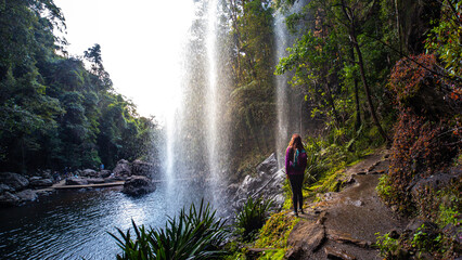 A beautiful girl enjoys a walk behind a spectacular tall waterfall while hiking the Warrie Circuit trail in Springbrook National Park, Gold Coast, Queensland, Australia