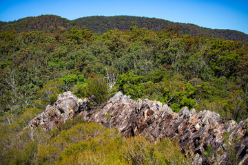 panorama of rocky mountainous ridge pages pinnacle, famous mountain near gold coast and sprinbrook...