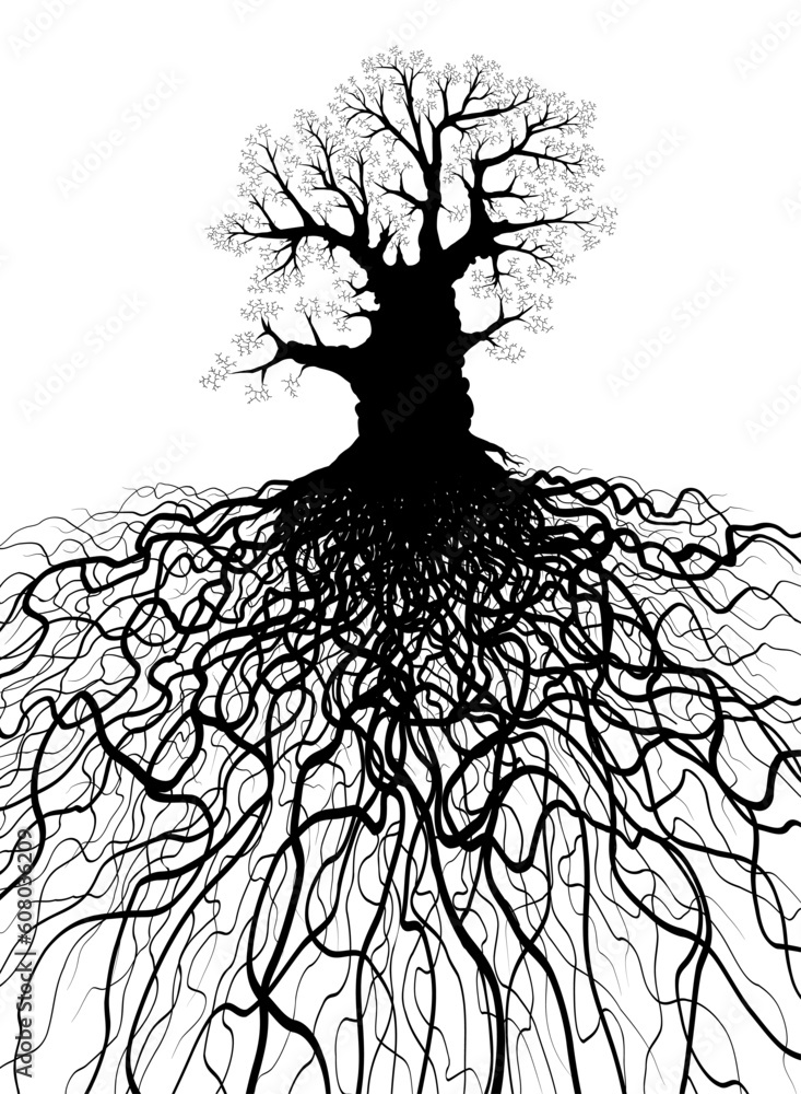 Poster editable vector illustration of a leafless oak tree with root system