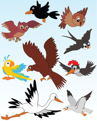 Set of vector illustrated birds - kid style