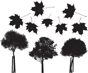 Set of vector trees and maple leaves silhouettes
