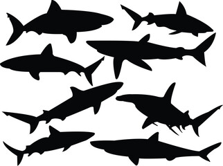 sharks silhouette collection - vector