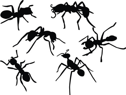 ants silhouette collection vector