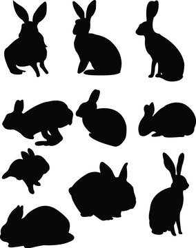 collection of rabbits - vector