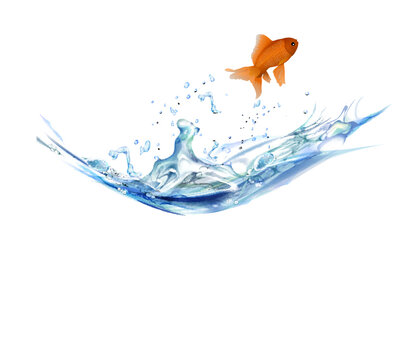 illustration of gold fish juming in splash of water