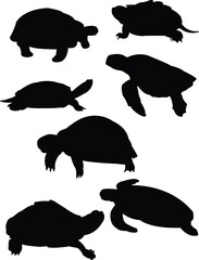 illustration of turtles silhouette - vector