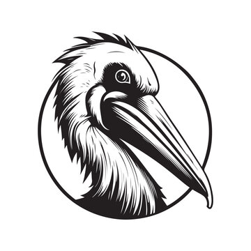 pelican, vintage logo line art concept black and white color, hand drawn illustration