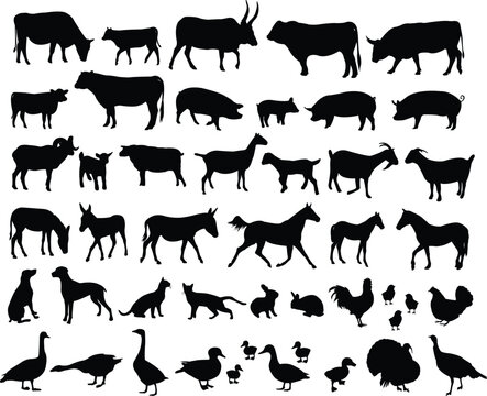 big collection of farm animals - vector