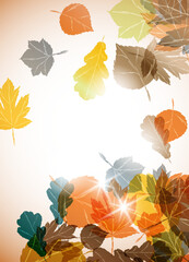 autumn background