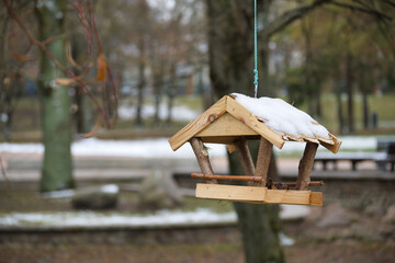 Bird feeder hanging on a tree branch