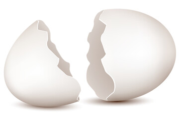 illustration of broken egg on white background