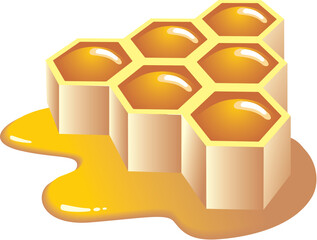 Honey vector illustration