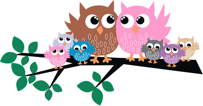 cute owl family