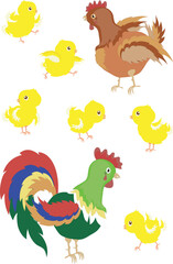 Rooster,hen,chicks isolated