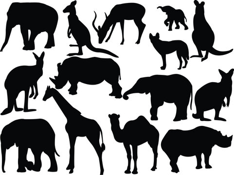 collection of wild animals - vector
