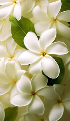 Fototapeta premium beautiful flower background, generative ai