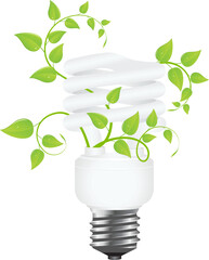 Floral power saving lamp. Isolated on white background. Vector illustration.