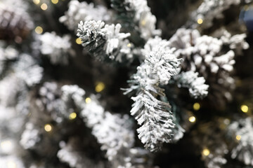 Fir tree branches with green needles covered with white snow