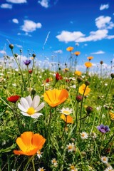 Colorful spring flowers on a field under a blue sky. Generative AI