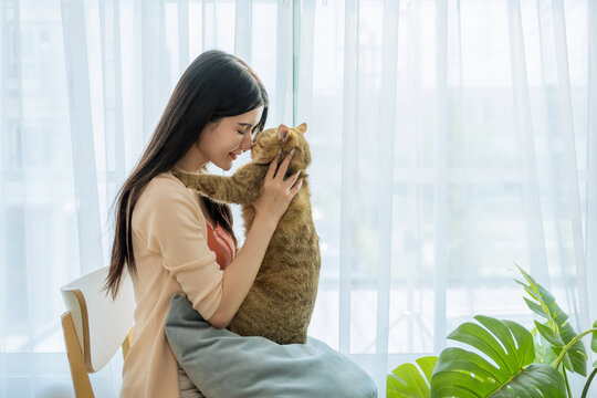 Sweet morning moment as a young Asian woman sits by a window, her beloved cat comfortably nestled on her lap